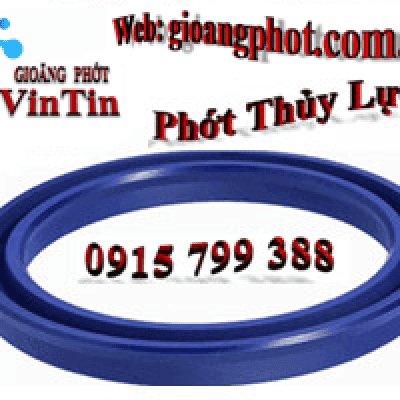 Các Loại Gioăng Phớt Cơ Bản